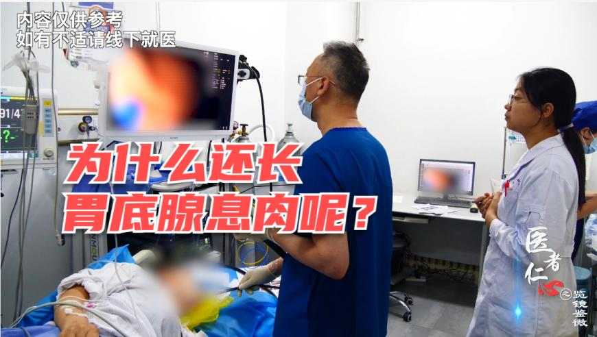 短道速滑接力,奥门王中王一肖一特一中,典故解疑_GM版V8.39