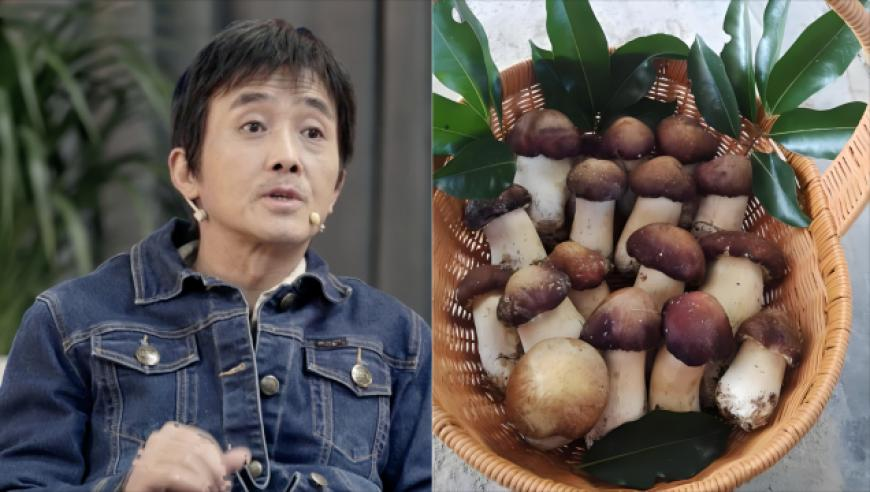 六肖中特期期准免费六,美联储副主席谈货币政策传导,成语解释落实可能存在的问题_至尊版V3.89
