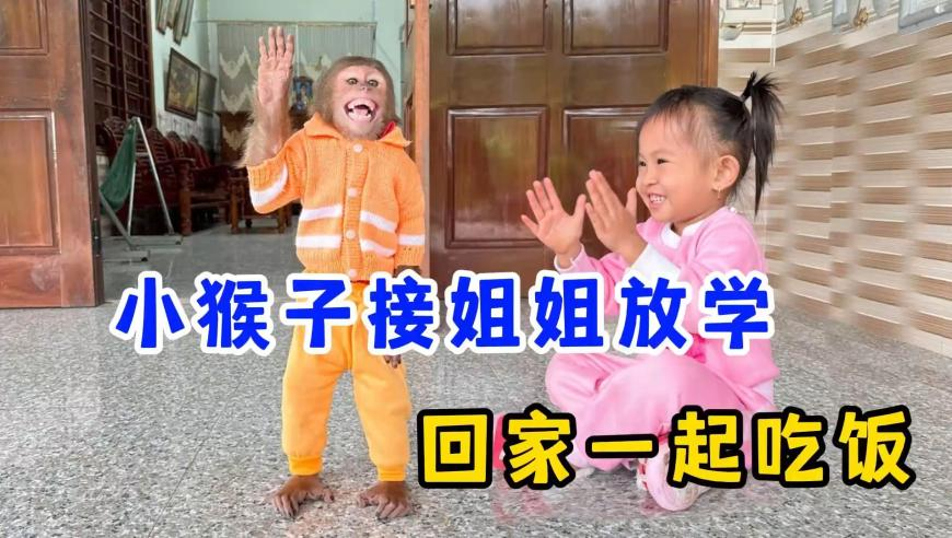 网警打击男孩扔鞭炮事件谣言,澳门一码一码100准确,最新正品解答落实_优选版V14.32