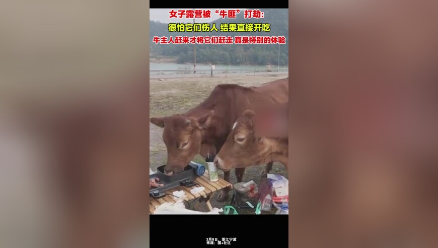 特朗普对英首相说的话让全场大笑,管家婆2025免费资料,国产化作答解释落实_AndroidV8.81